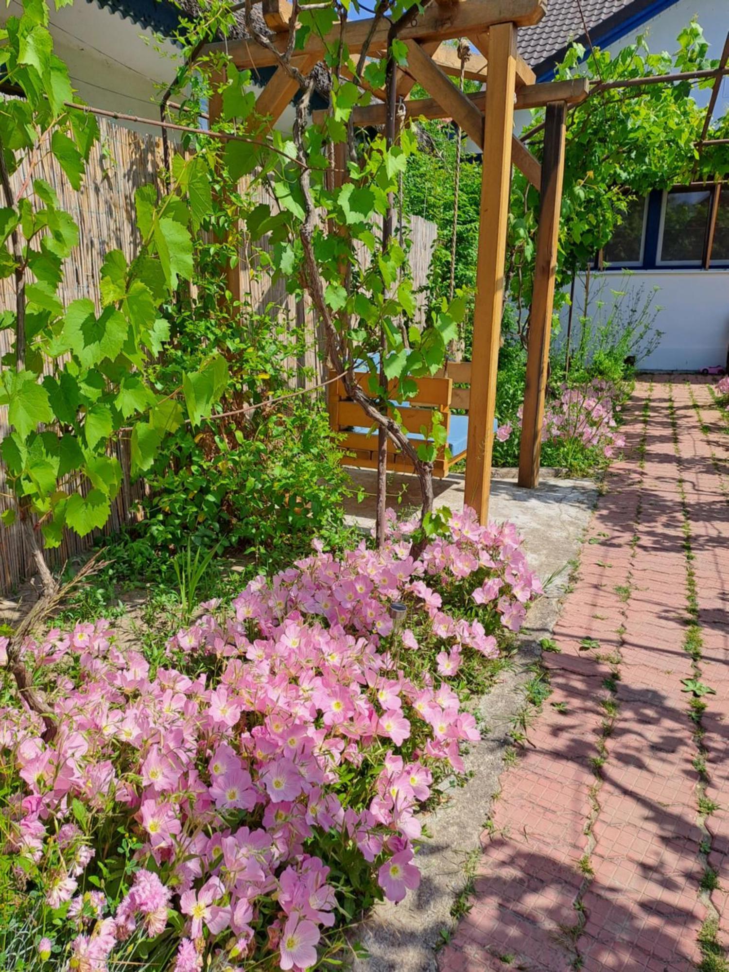 Pensiunea Valurile Dunarii Sfântu Gheorghe Buitenkant foto